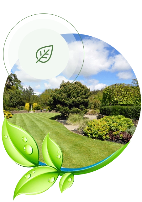 Travaux jardinage Étréchy, Travaux jardinage Essonne, Travaux jardinage Sud Essonne