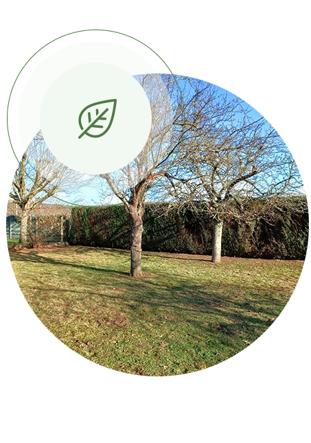 Travaux jardinage Étréchy, Travaux jardinage Essonne, Travaux jardinage Sud Essonne
