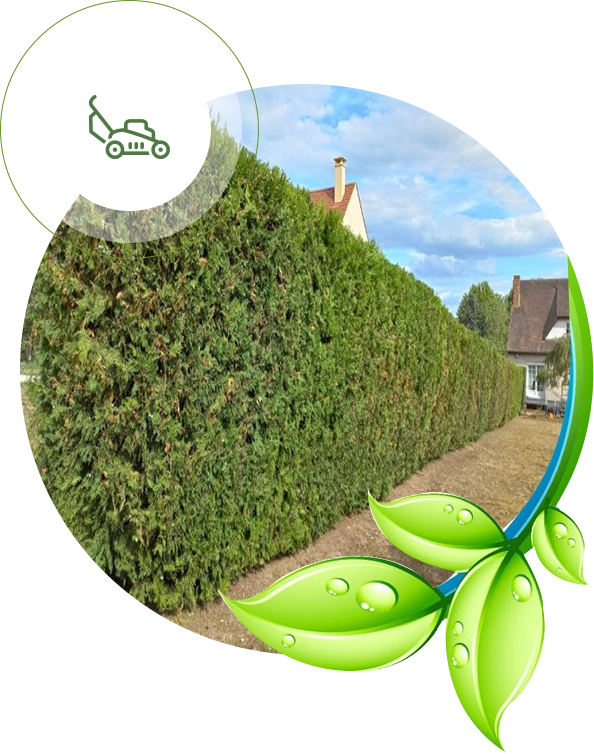 Élagage Étréchy, Élagage Essonne, Élagage Sud Essonne